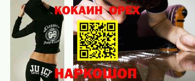 скорость Кингисепп