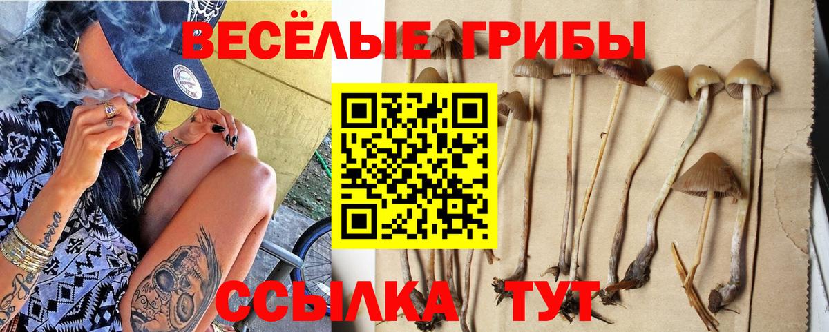 Краснокаменск  Галлюциногенные грибы ЛСД  Псилоцибиновые грибы ЛСД  Вход с VPN 